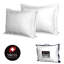 Oreiller en duvet d'oie Kittredge-176573774