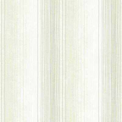 Dwayne-James 10m x 52.8cm Matte Wallpaper Roll
