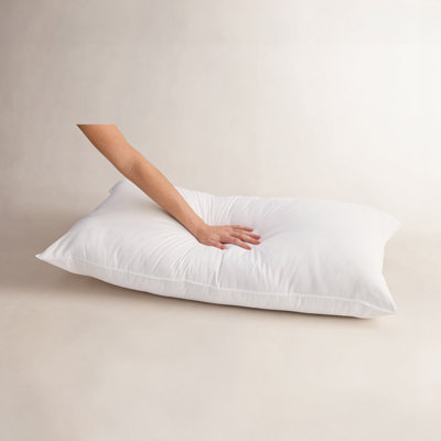 Sleep by Wayfair™ Polyester Pillow