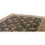 Hand Knotted Wool Area Rug in Black And Gold