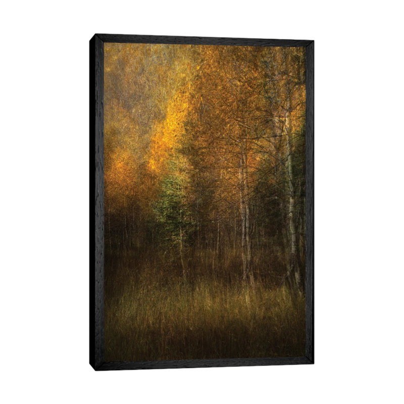 Woods by Roxana Labagnara - Gallery-Wrapped Canvas Giclée on Canvas, Black Floater Framed, 66.04 cm H x 45.72 cm W