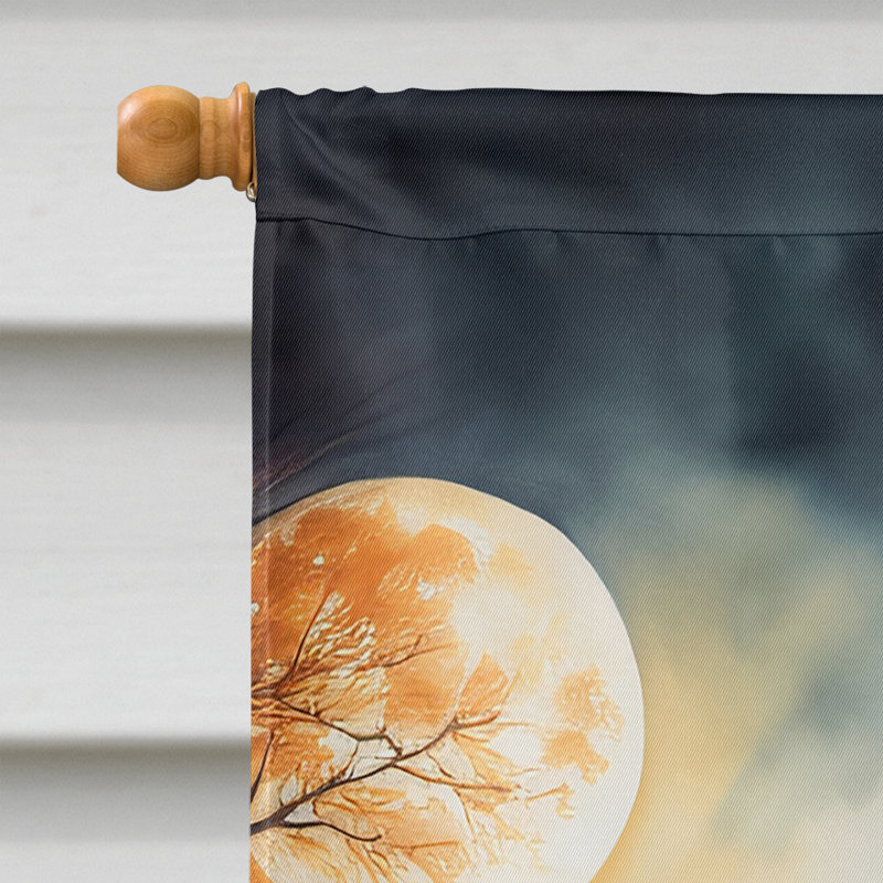 Double Sided 40'' H x 28'' W Polyester Halloween House Flag