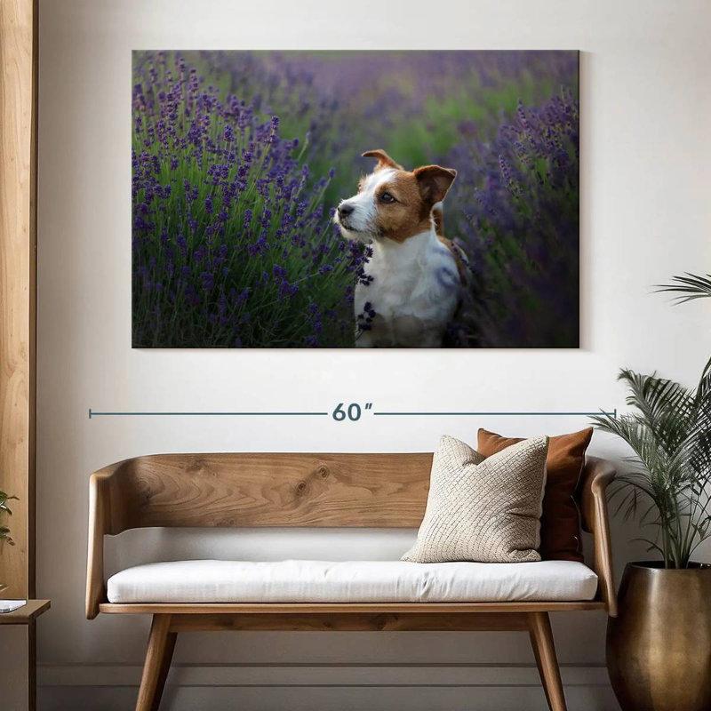 Crowle Jack Russell et lavande, H 34 po x l 51 po