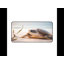 Polyester Desk Pad-968327026