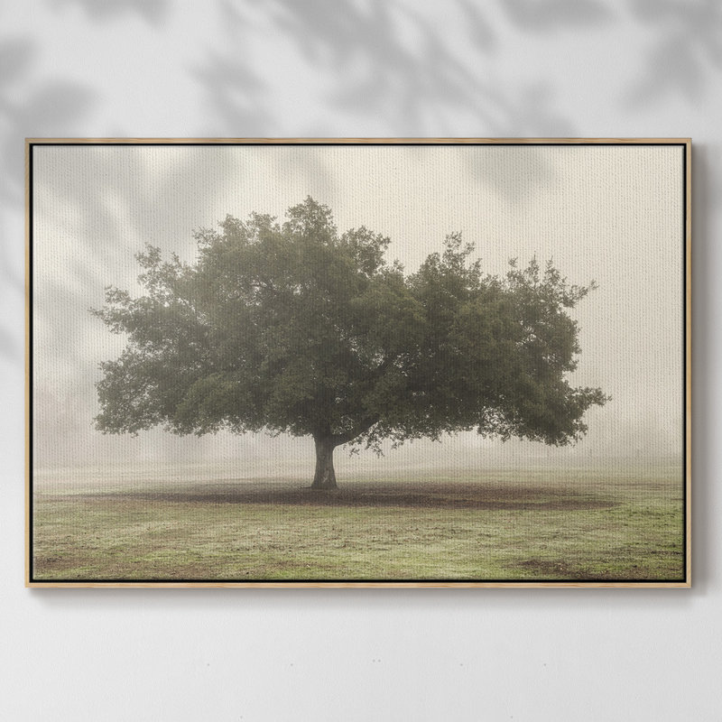 Arbres dans le brouillard II, H 27 po x l 41 po x P 2 po, Toile avec cadre en bois naturel