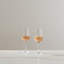 Vintner Glass White Wine Glass