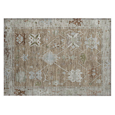 Machine Washable Indoor/Outdoor Xhevrie Brown Rug