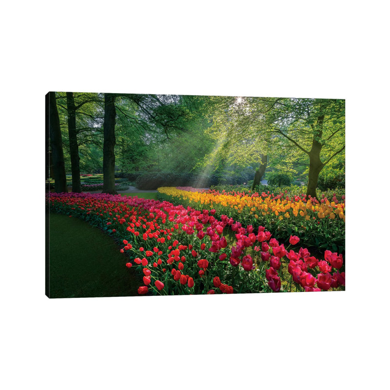 «Special Garden» - Imprimé, H 8 po x l 12 po x P 0,75 po, Toile tendue