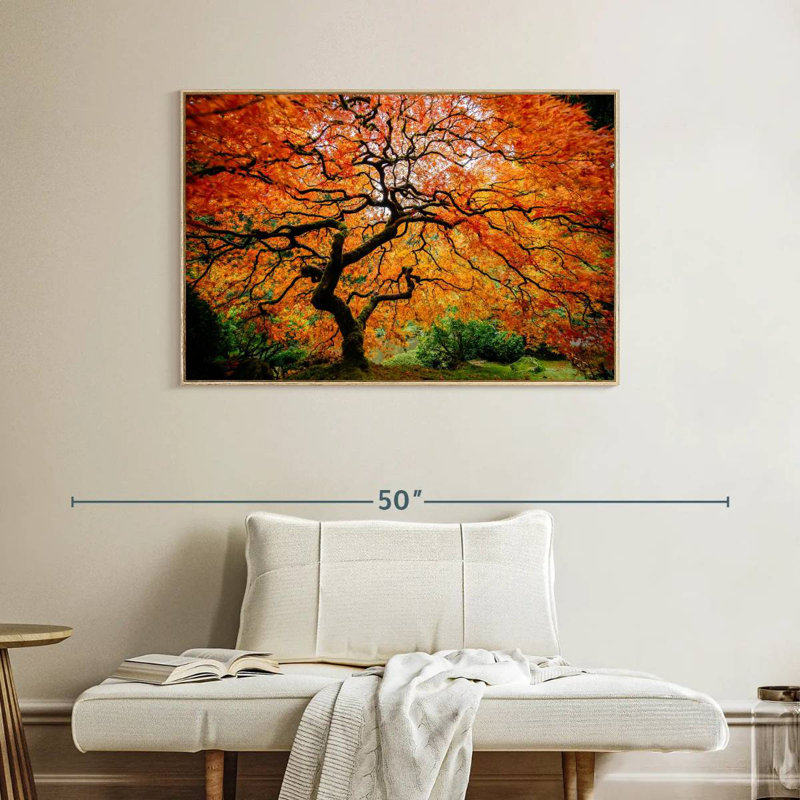 Automne érable japonais, Cadre flottant en bois naturel, 40 po x 27 po