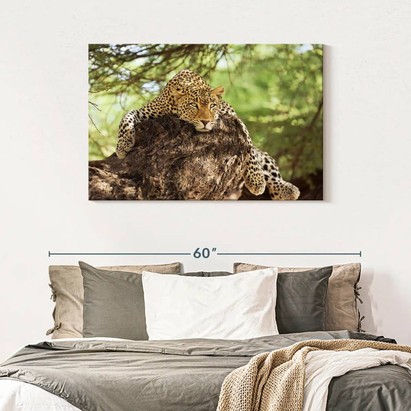 Brampt Leopard Taking It Easy In Kenya I, 30" H x 45" W