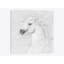 « b&w à cheval iii », impression sur toile-30276992-72532054-72532049