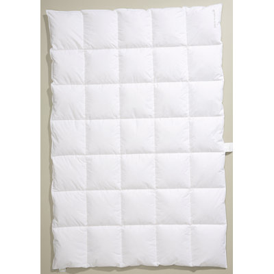 Ambiente Medium Down Alternative Comforter