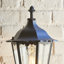 Shanghai 49cm H Outdoor Wall Lantern