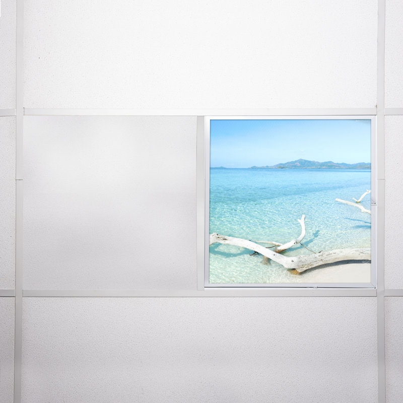 Beach Square Fixture Component Ceiling Light