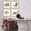 «Dinosaures éducatifs» par Stephanie Workman Marrott - ensemble de 4 impressions-1399626120-1399626121