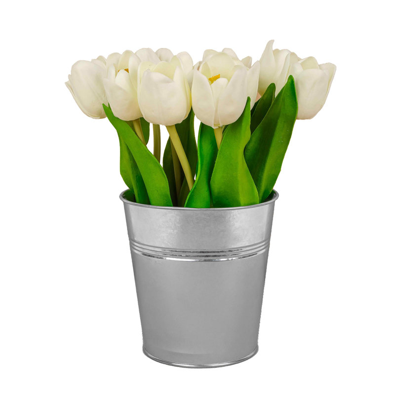 Tulip Bouquet, White
