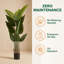 Artificial Ficus Tree Set - Realistic Indoor/Outdoor Faux Plants with Natural Wood Trunk, UV Resistant & No Maintenance (2 Pack)-369608605