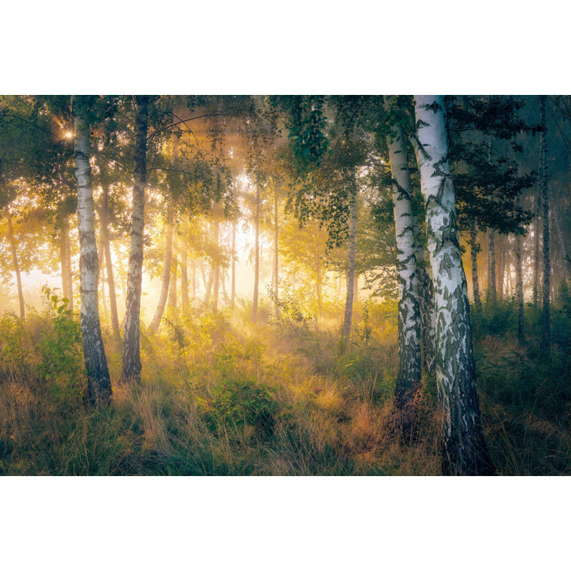 In the forest, 50.8 cm H x 76.2 cm W