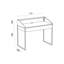 Caolain Desk-98003348