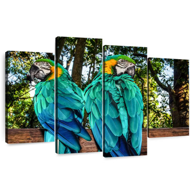 Brampt Macaw Parrots