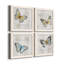 Carte postale papillon I - ensemble de 4 reproductions d'art sur toile-1562484624-1562484626-1562566384