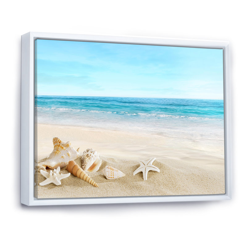 Paysage avec coquillages sur une plage tropicale - photographie sur toile, H 34 po x l 44 po, Cadre flottant blanc