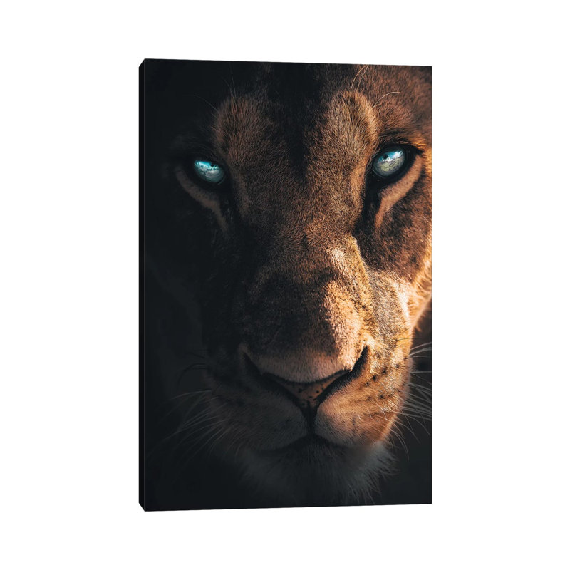 The Mysterious Creature 1 Piece Wall Art on Canvas, 20.32 cm H x 30.48 cm W, Wrapped Canvas