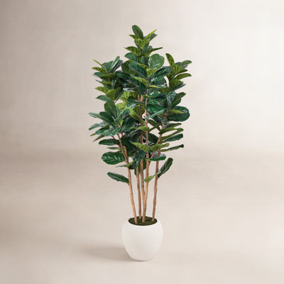 Caigan Fiddle Leaf Fig Tree in Decorative Vase