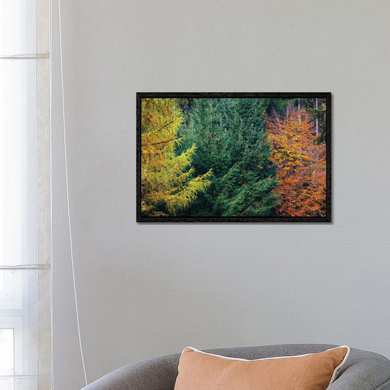 Autumn Colors 1 Piece Wall Art on Canvas, 66.04 cm H x 45.72 cm W, Black Framed Canvas