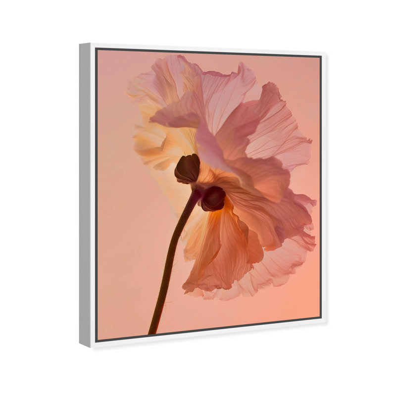 Amber Radiance III Print by Oliver Gal, 25"H x 31"W, White Floater Frame