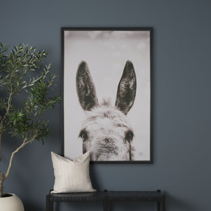 Impression sur toile encadrée, "Down Down Facing Donkey Sepia" par Nathan Larson