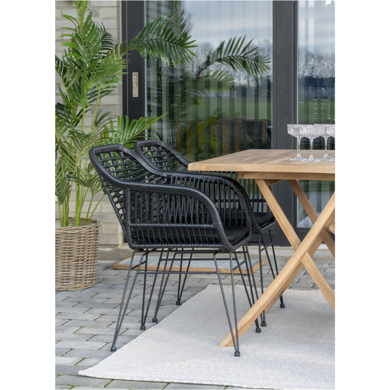Lysander Solid Colour 200cm X 300cm Indoor / Outdoor Area Rug