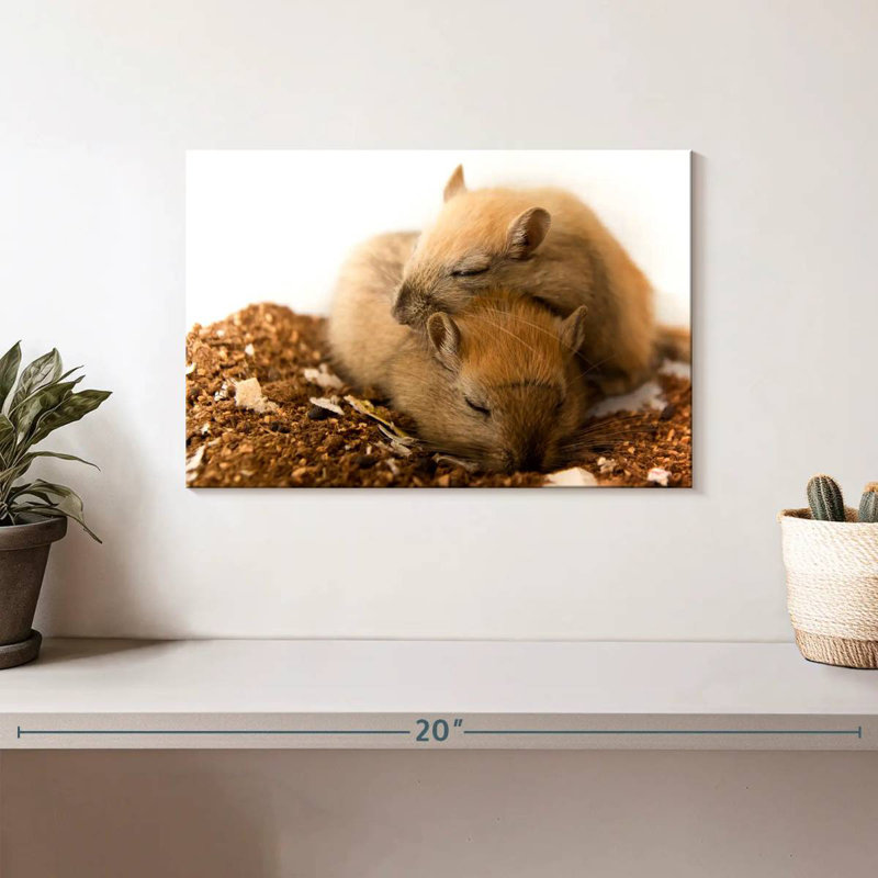Sleeping Gerbils, 8" H x 12" W