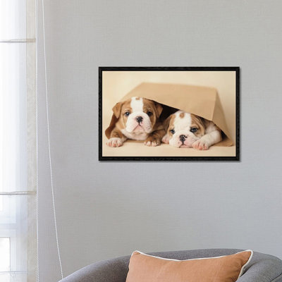 Rebel and Grumpy 1 Piece Wall Art on Canvas
