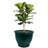 Berlina Round Imperial Ceramic Outdoor Planter-2034820463-2096375821