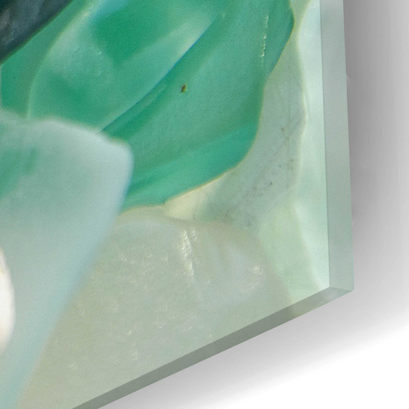 Impression sur verre de mer 1 sur plastique / acrylique par Alan Blaustein, H 24 po x l 16 po x P 0,2 po