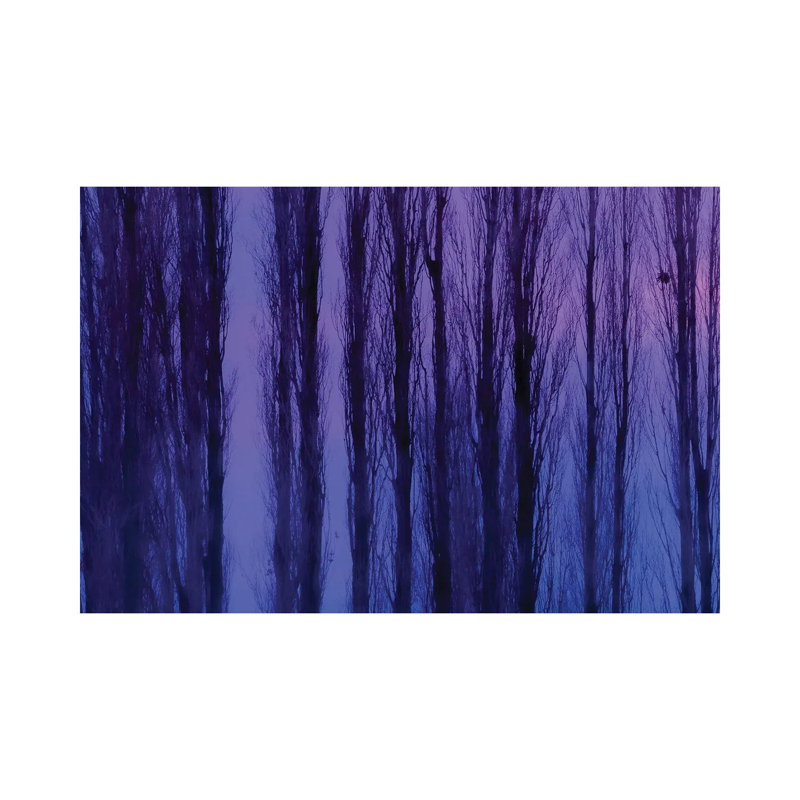 Abstract Winter Trees 1 Piece Wrapped Canvas Wall Art, 20.32 cm H x 30.48 cm W