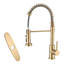 Eqloo Pull Down Kitchen Faucet