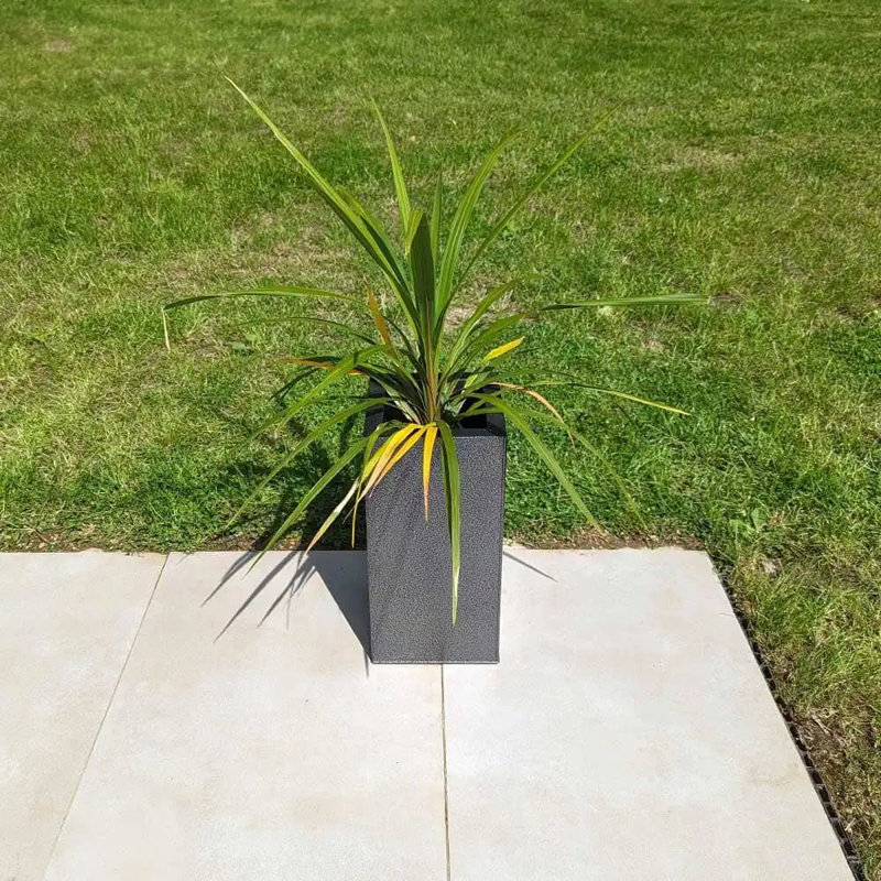 Babrow Metal Planter Box, 25cm H x 50cm W x 25cm D, Black