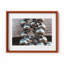 Distant Eyes Print by Joseph Regan-66911017-66911018