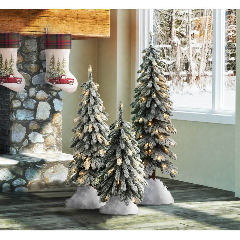 Arbre de Noël épinette blanc Haigh, H 3 pi