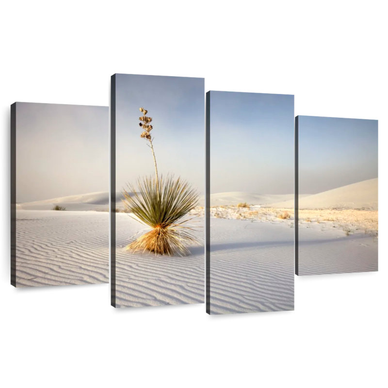 Palmeraie des sables blancs d'Alvord, H 22 po x l 36 po