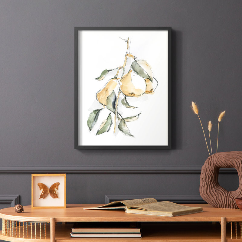 «Watercolor Fruit Contour I», reproduction encadrée - bois massif, Noir, H 20 po x l 16 po