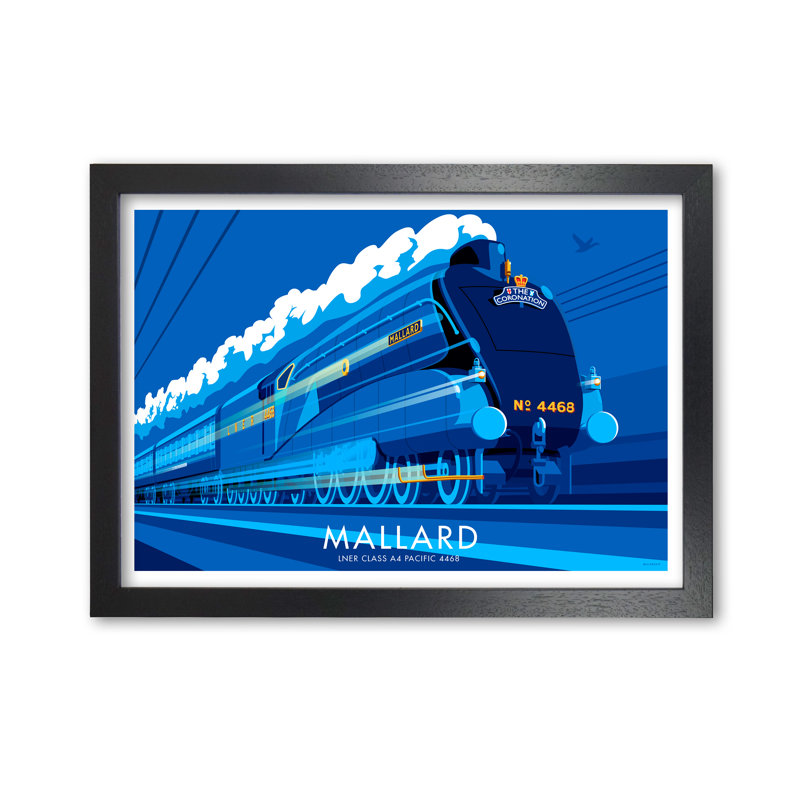 Mallard by Stephen Millership - Print, 42 cm H x 59.4 cm W x 5 cm D, Black