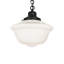 Luminaire scolaire 16 po de large avec luminaire suspendu
