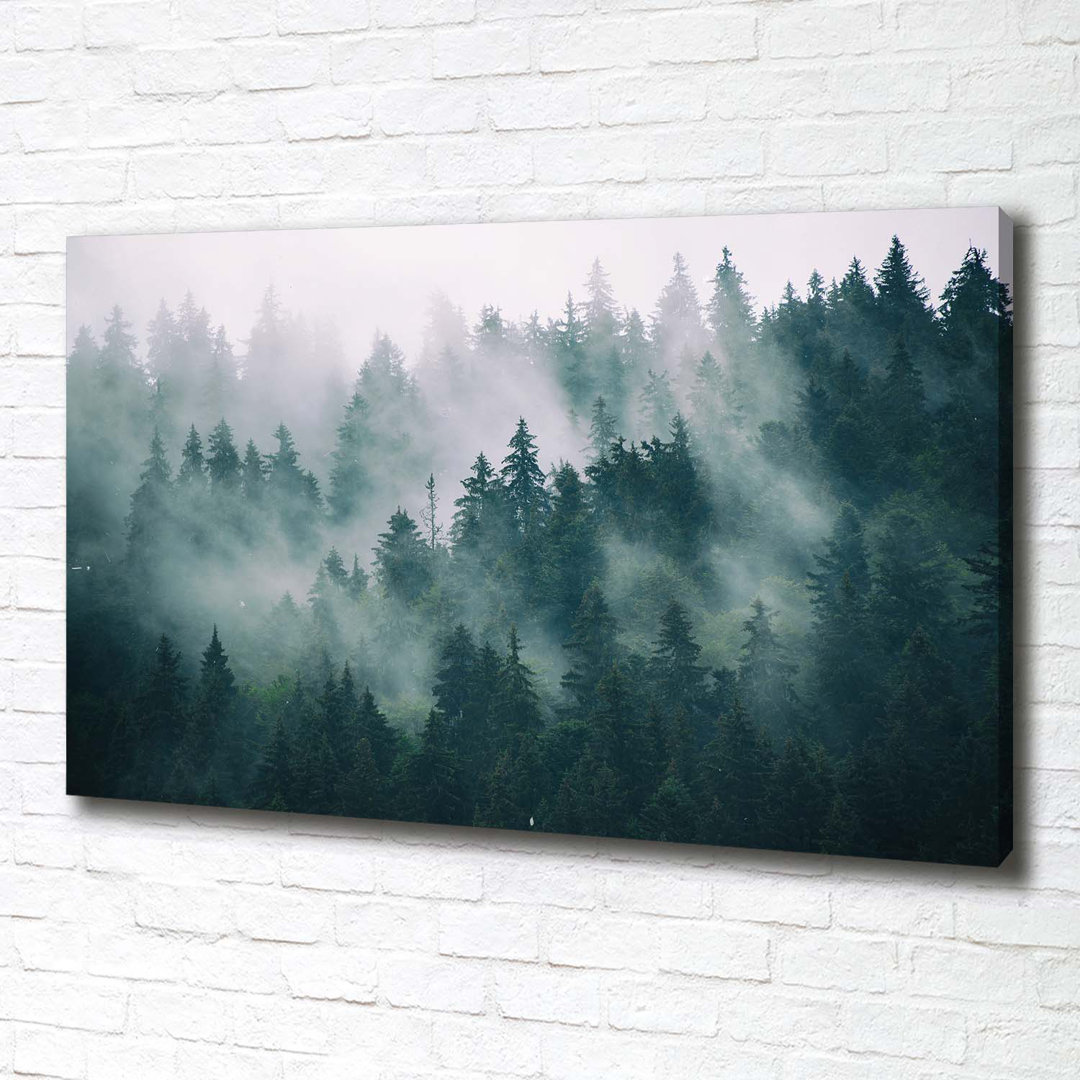 Nebel über dem Wald - Kunstdrucke auf Leinwand