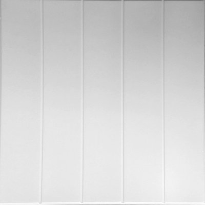 19.6'' L x 19.6'' W Smooth Polystyrene Glue Up Ceiling Tile In White