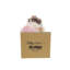 Casse-noisette ballet et couronne hollywood