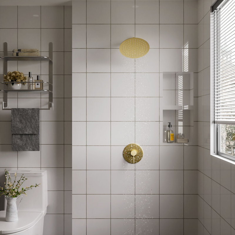 1.5 GPM Rain Adjustable Shower Head with Self-Cleaning, Brushed Golden