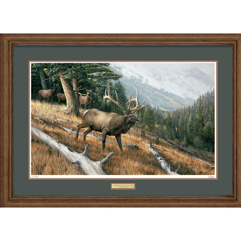 « challenge to all » par ron van gilder, reproduction d’art encadrée